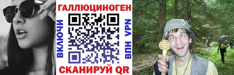 Псилоцибиновые грибы прущие грибы  MEGA ссылка  Новосиль 